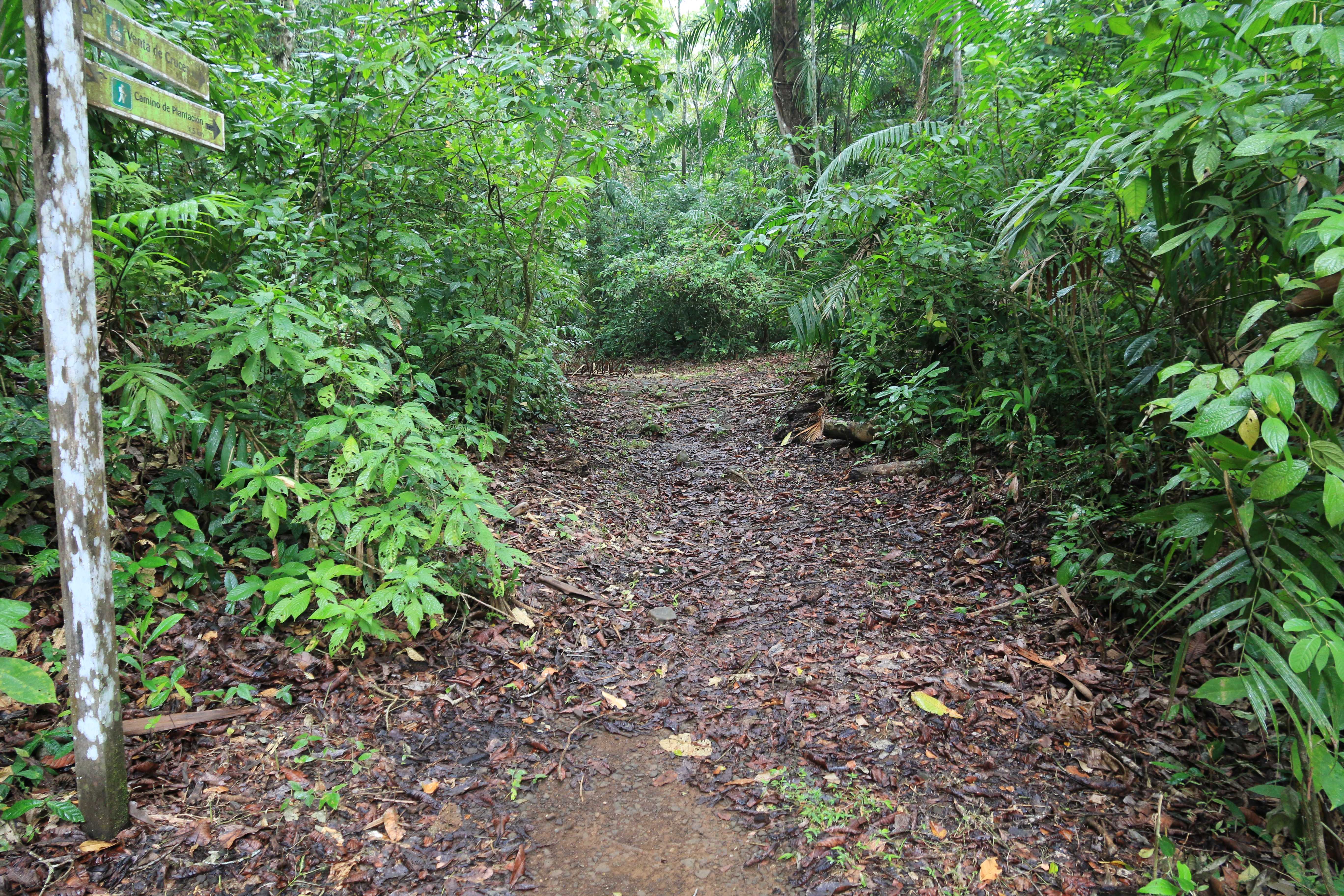 Panama